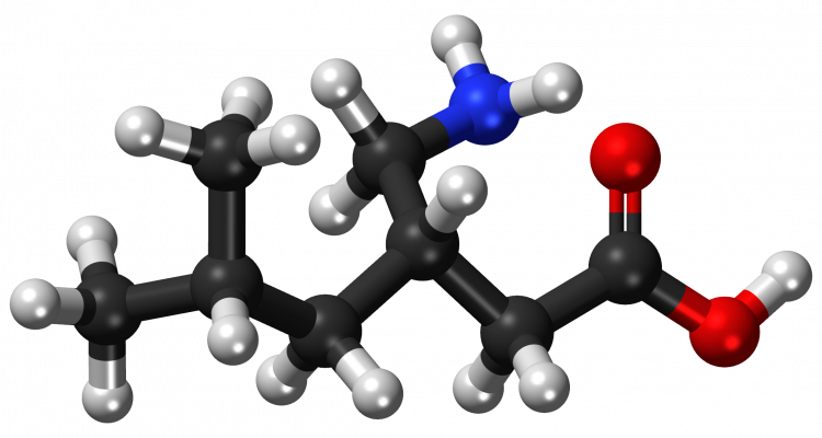 Pregabalin_ball-and-stick_model